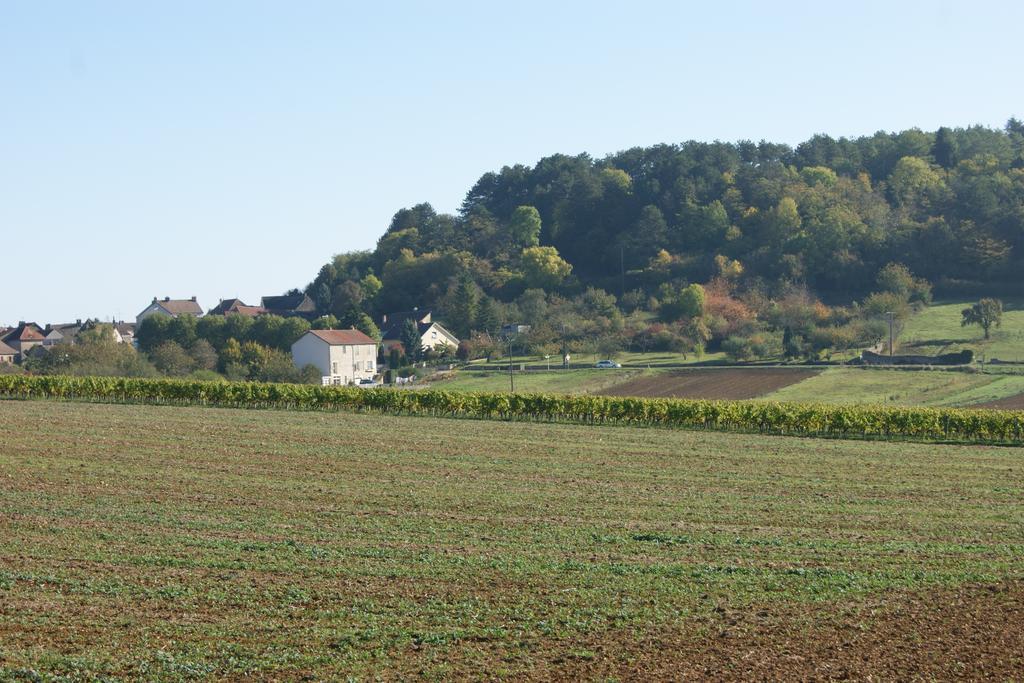 Le Verger Des Hautes-Cotes De Nuits Villers-la-Faye Exterior foto